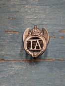 Territorial Army lapel badge