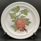 Portmeirion Pomona The Red Current Plate